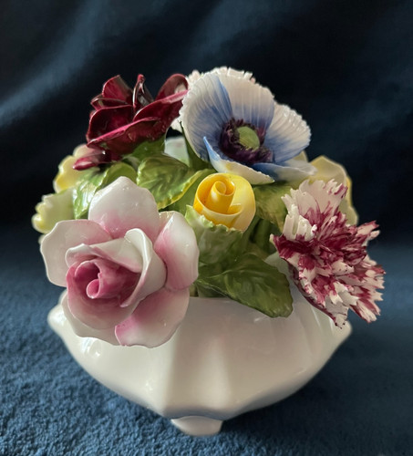 Radnor bone china - bone,