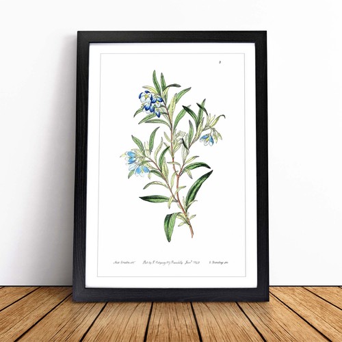 Bluebell flowers vintage - flowers,