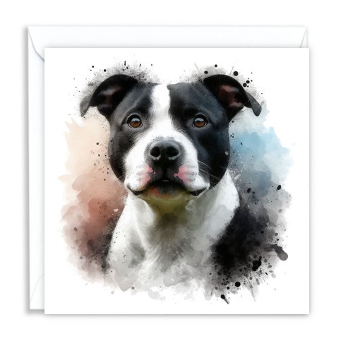 Staffy staffordshire bull - staffy,