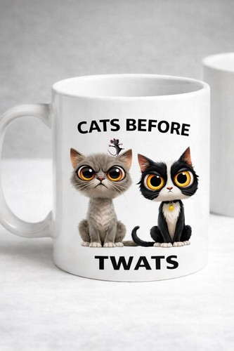 Sarcastic cat mug gift - cat,