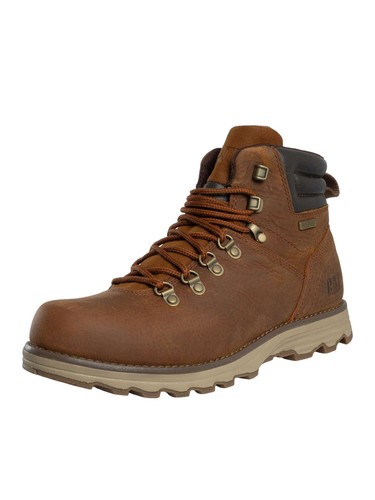 Caterpillar men sire - caterpillar,