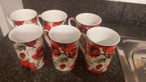 Poppy mugs fine bone - 6,