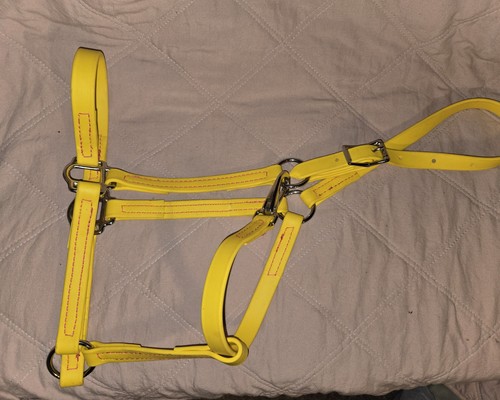 New endurance style halter - endurance,