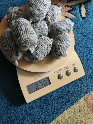 Xxl filled tied - carp, bait