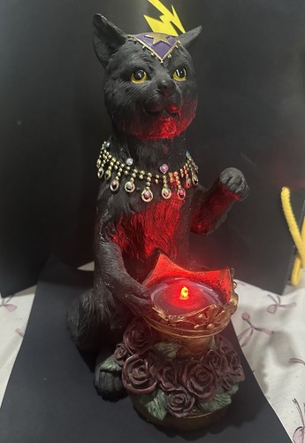 Max light cat - light,