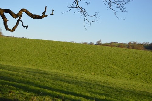 Photo 6x4 pasture land - photo,