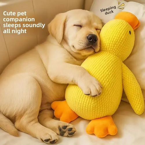 Indestructible calming duck - calming,