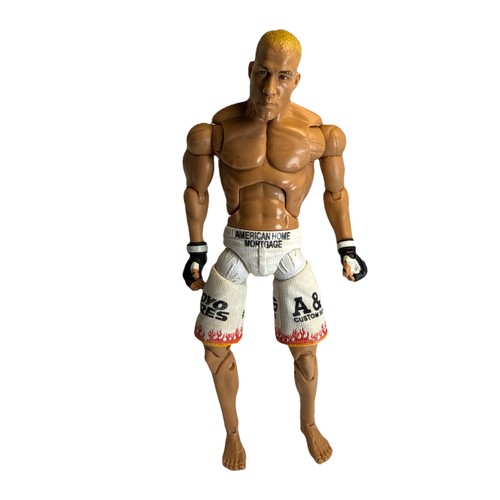 Ufc tito ortiz - tito, wrestling