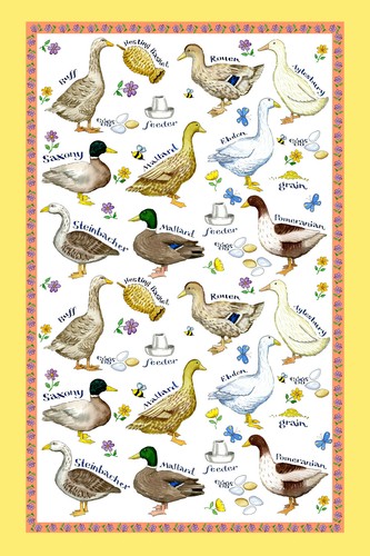 Samuel lamont duck - duck, breeds