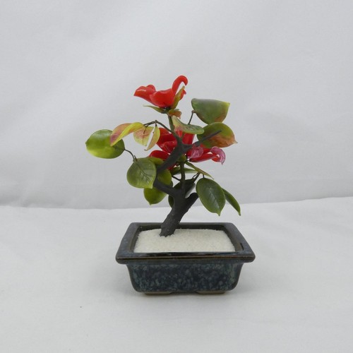 Jade flower tree - jade, bonsai
