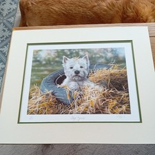 Paul Doyle Signed  Limited