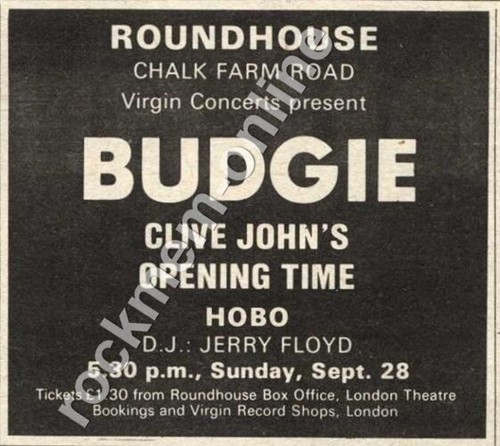 Budgie clive john - clive, john's
