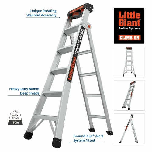 Little giant king - giant,