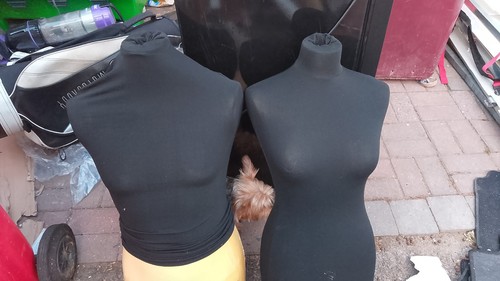 Half body female mannequin - 2,