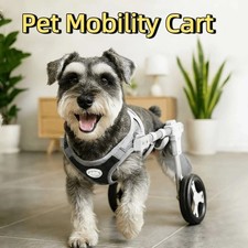 2/4 Wheel Mobility Dog