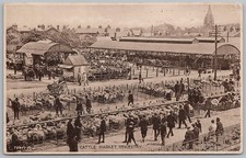 OSWESTRY Cattle Market