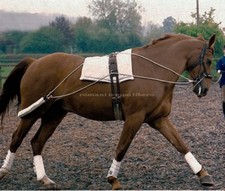Longier training system - training,