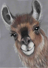 Original coloured pencil Art