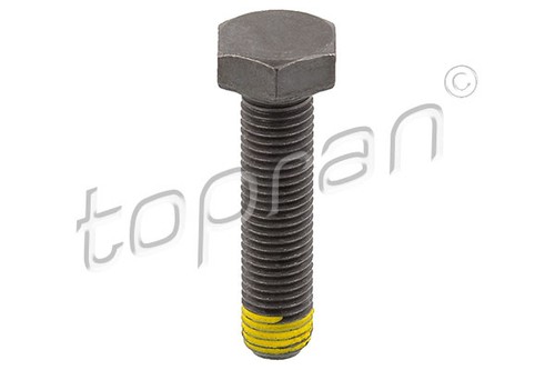 Flywheel bolt topran 502 756 - flywheel,
