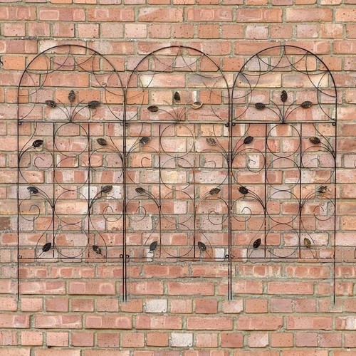 Metal trellis garden plant - garden,