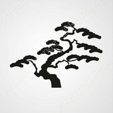 Short Bonsai Tree Big Sizes