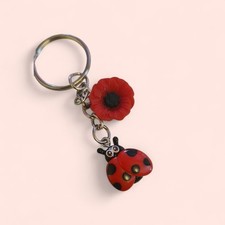 Beautiful ladybird poppy