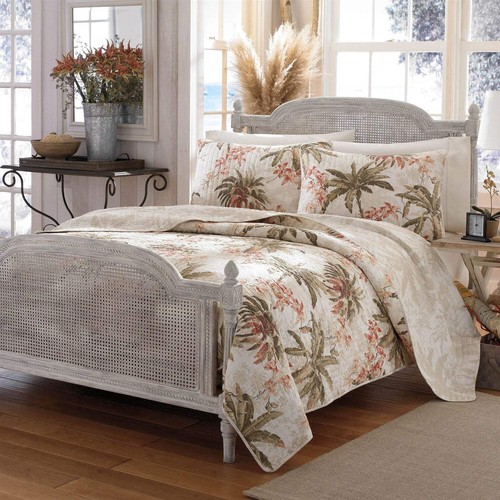 King cotton coastal palm tree - king,