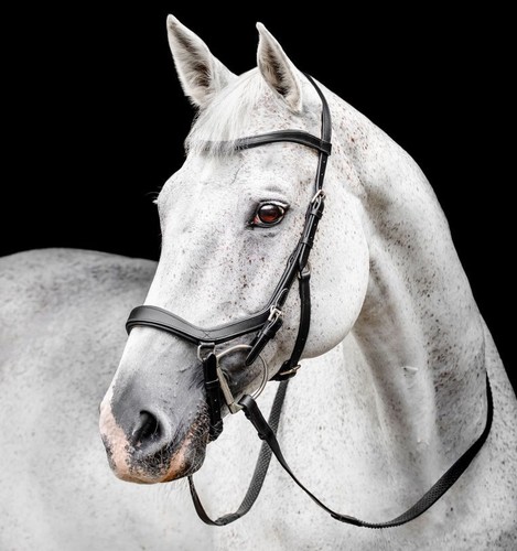 Horseware micklem competition - micklem,