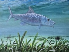 Bonefish Fly Fishing Original