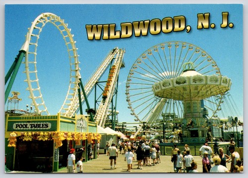Roller coaster ferris wheel - roller,