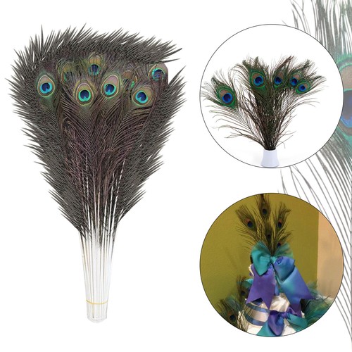 Natural peacock tail feathers - natural,