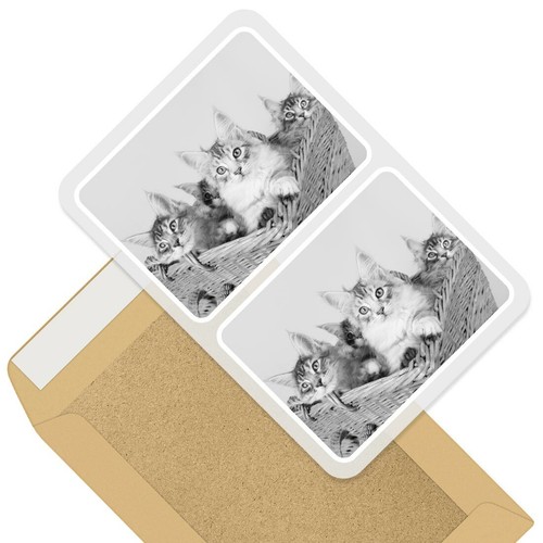 Rectangle stickers 10cm bw - 10cm,