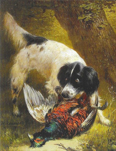 New dogs postcard - museum, art
