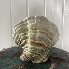 Vintage sylvac shell vase Art