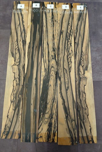 Pale moon ebony 5 string - pale, 5-string