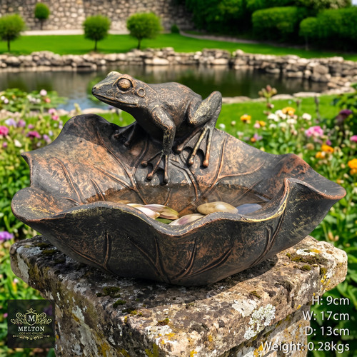 Frog lily pad bird feeder - frog,