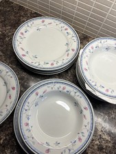 Florete Fine Porcelain 17- Piece Dinner Set Blue Pink Floral Vine Pattern