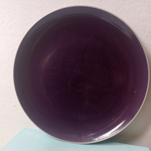 Habitat rex side - rex, plate