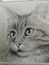 Framed Cat Print by Sue Willis Signed 176/750