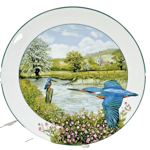 Collectors plate - collectors,