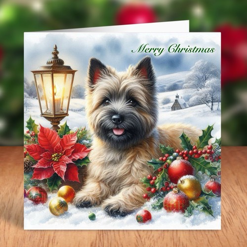 Cairn terrier dog - cairn, christmas