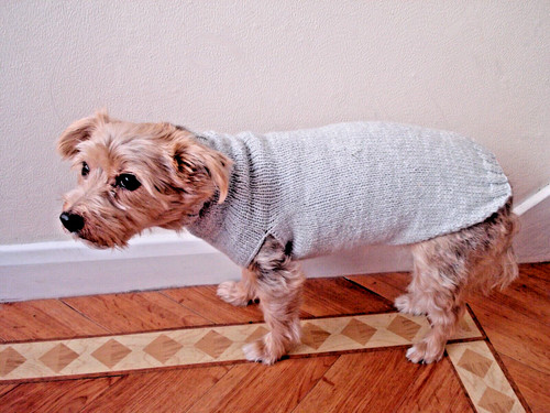 Hand knitted dog coat - hand,