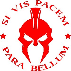 Spartan vinyl decal - decal, si
