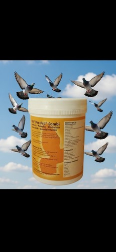 300gm vit pre pro - pre-pro, combi