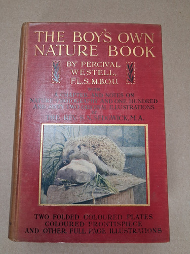 The boys own - book, w