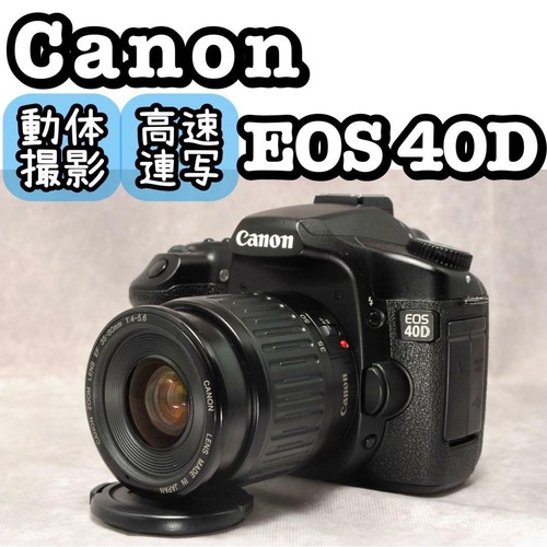Canon eos 40d digital slr - eos,