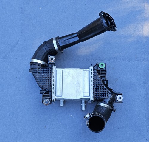 Genuine transporter 1 - genuine, t6.1