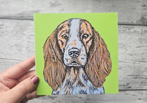 Welsh springer spaniel - welsh,