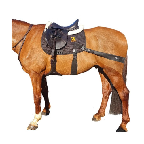 Equine band system - band, core