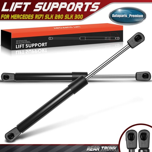 Rear trunk lift supports - rear,